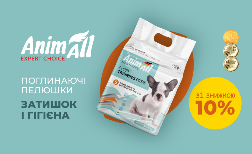 Баннер