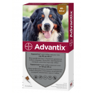 ADVANTIX каплі від бліх та кліщів для собак вагою 40-60 кг
