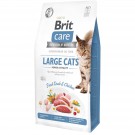 Brit Care Cat GF Large cats Power & Vitality Сухий корм для котів великих порід 