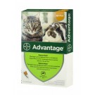 Bayer Advantage 40 АДВАНТЕЙДЖ  краплі від бліх та кліщів для кішок до 4кг.