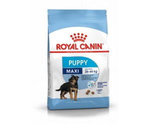 ROYAL CANIN Maxi Puppy сухий корм для цуценят великих порід віком до 15 місяців